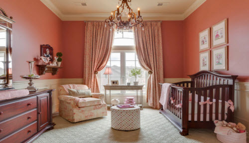 Northern Saw-Whet Owl